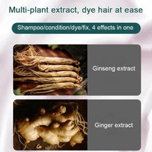Load image into Gallery viewer, Colorful & Natural Plant Hair Dye With Innovative Comb Applicator (Buy 1 Get 1 Free)