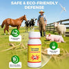 🚫🪰 High-Efficiency Fly Control Agent! ✨ Buy 1 Get 1 Free! ✨
